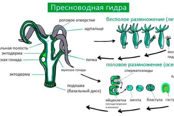 Сайт тор кракен