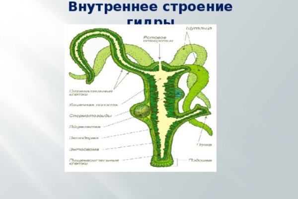 Зайти на кракен через браузер