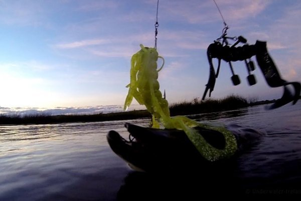 Kraken 19 at