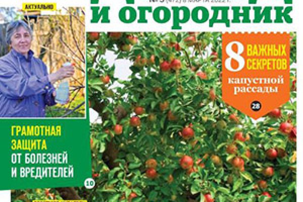 Как зарегистрироваться на кракене из россии