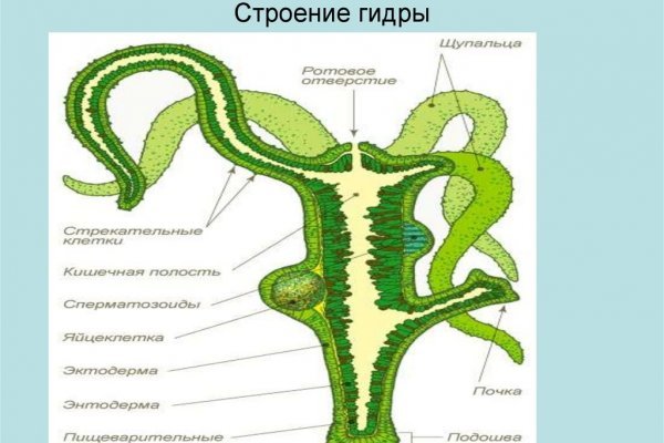 Даркнет маркет кракен onion